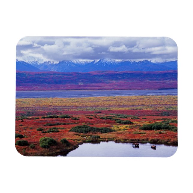 The tundra of Denali National Park in the late Magnet (Horizontal)