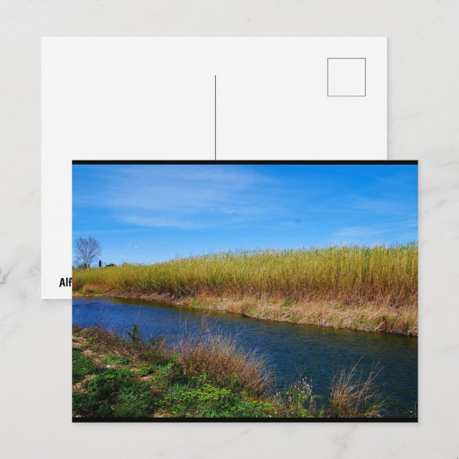 The Túria River Postcard (Front/Back)