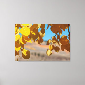 The Turning of the Aspens in Crested Butte Canvas Print