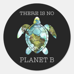 The Turtle There Is No Planet B Earth Day  Classic Round Sticker