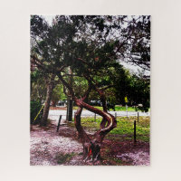 The Twisted Tree 1123