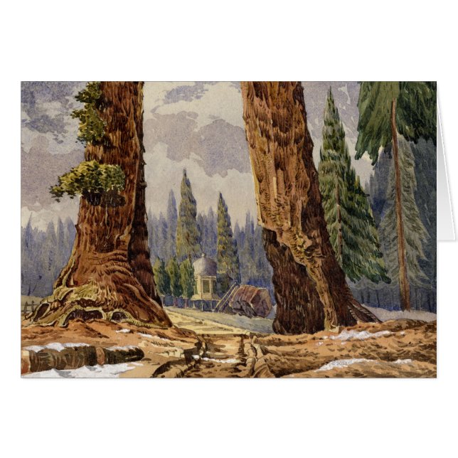 The Two Sentinels, at the Grove of Big Trees (Front Horizontal)