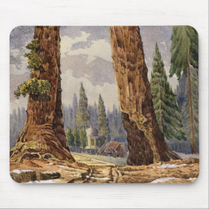 The Two Sentinels, at the Grove of Big Trees Mouse Pad
