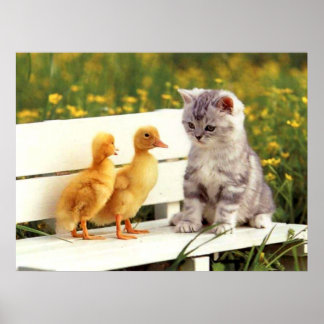 The Ugly Duck Poster