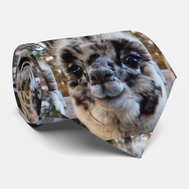 THE ULTIMATE ALPACA TIE (Rolled)