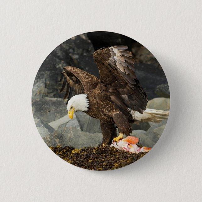The Ultimate Bald Eagle 6 Cm Round Badge (Front)