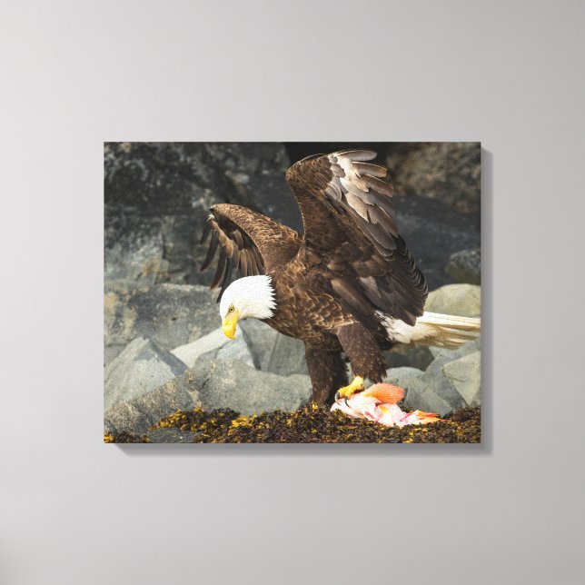 The Ultimate Bald Eagle Canvas Print (Front)