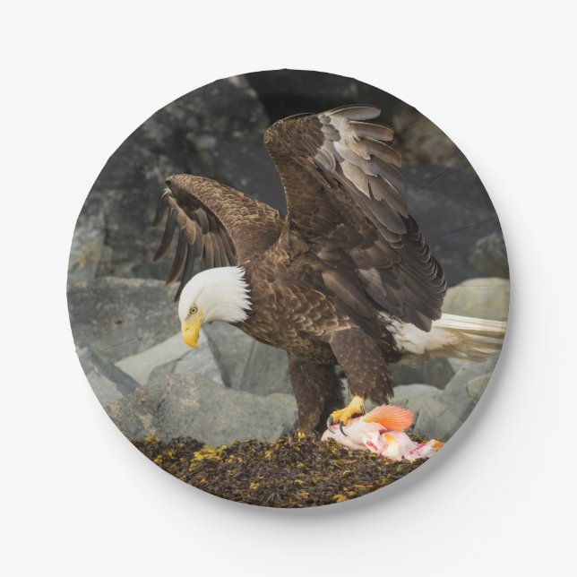 The Ultimate Bald Eagle Paper Plate (Front)