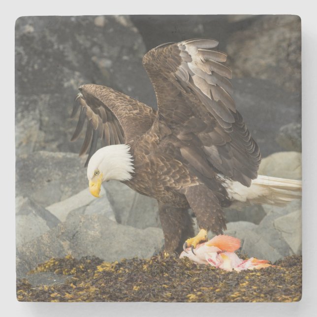 The Ultimate Bald Eagle Stone Coaster (Front)