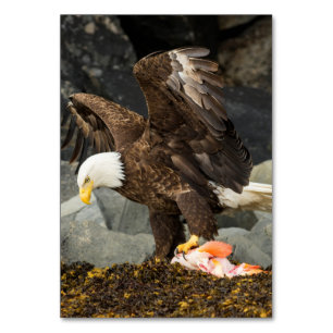 The Ultimate Bald Eagle Table Number