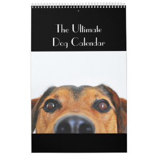 The Ultimate Dog Calendar