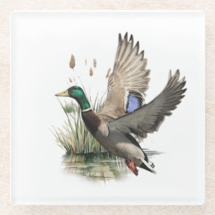 The ultimate duck hunting   glass coaster