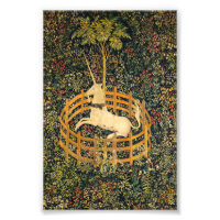 The Unicorn in Captivity