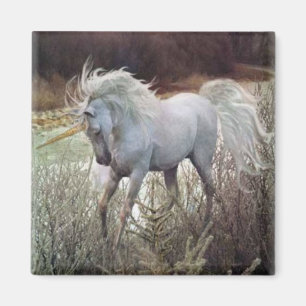 The Unicorn Magnet