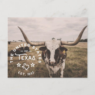 The United States of Texas Postcard