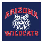 The University of Arizona | Wildcats Poster