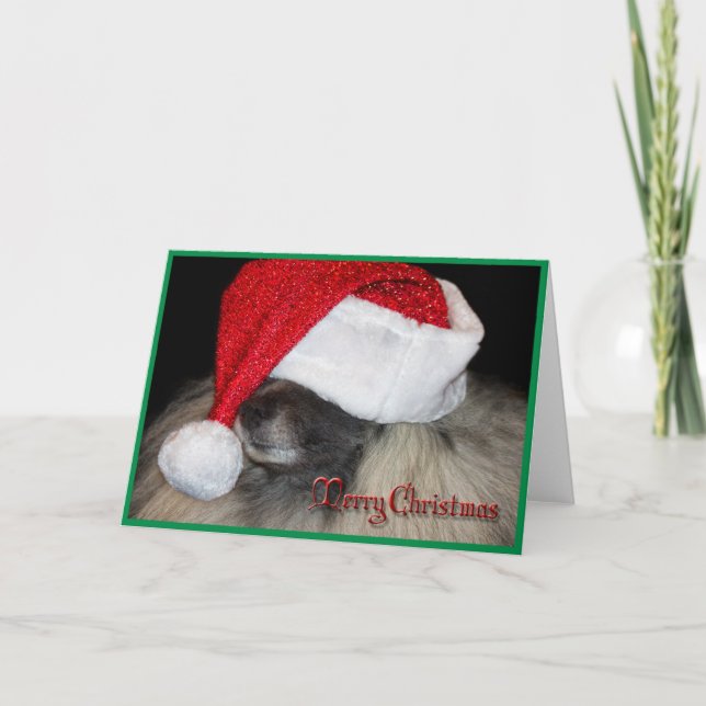 The Unknown Santa Paws greeting card! Holiday Card (Front)