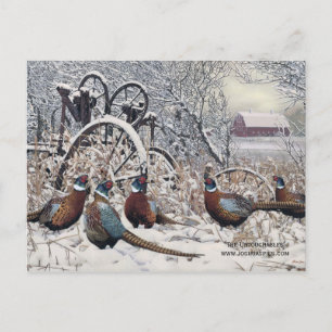 "The Untouchables" by Joshua Spies Postcard