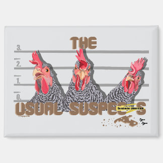 The usual CHICKEN suspects—Barred Rock Hens Magnet