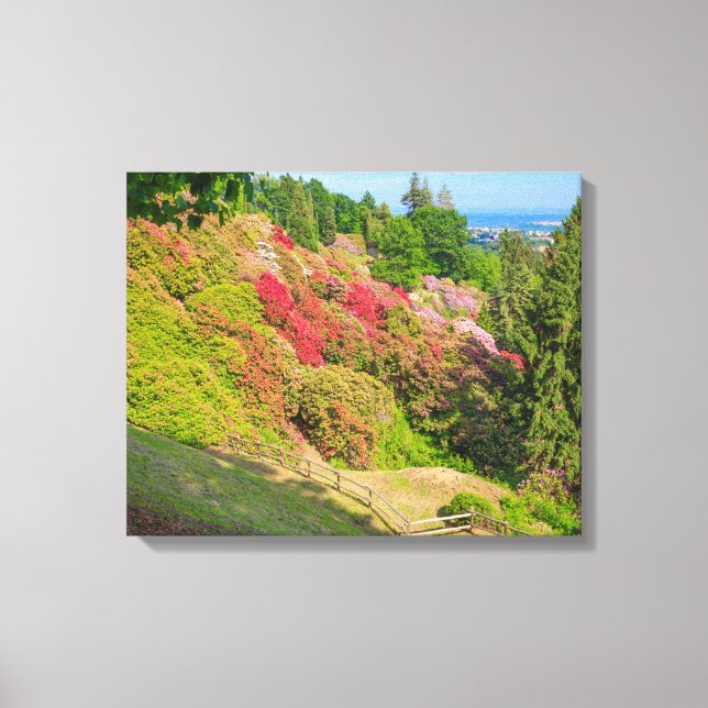 the valley of rhodondendros on canvas print (Front)