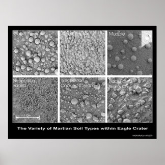 The Variety of Martian Soil Types in Eagle Crater Poster
