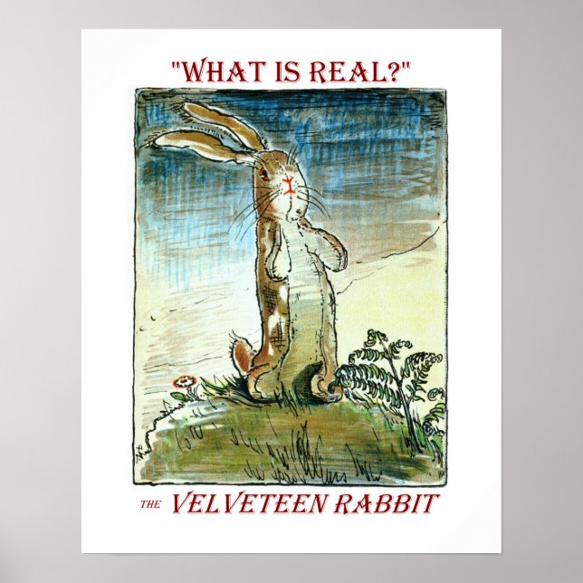 The Velveteen Rabbit - Poster (Front)