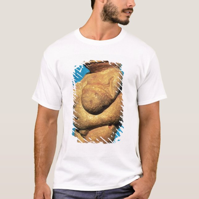 The Venus of Willendorf T-Shirt (Front)