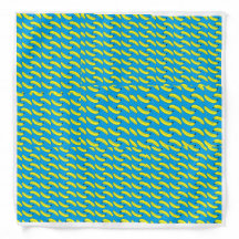 The Very First Banana Bandanna!