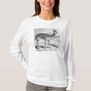The Vicuna at the Rio de Azufre T-Shirt