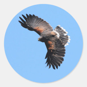 The view from above classic round sticker