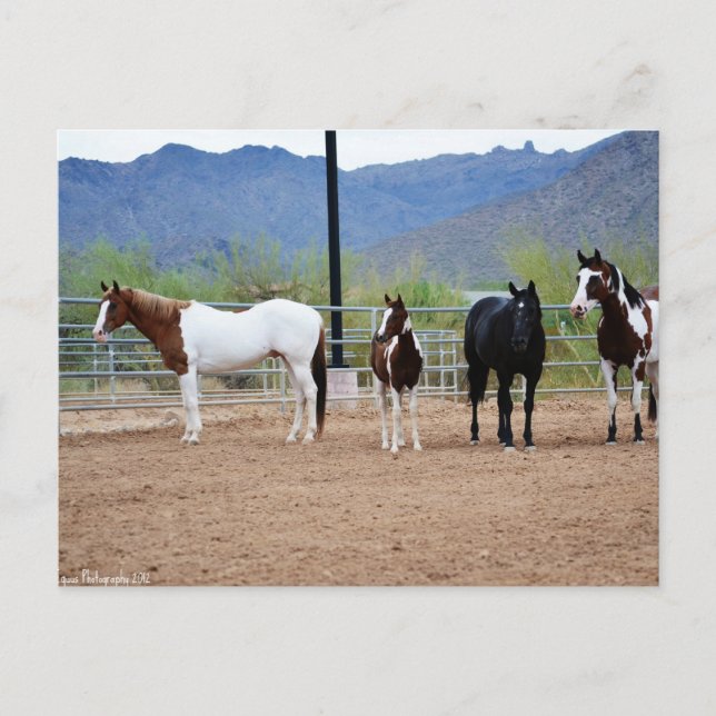 The View Postcard (Front)