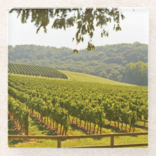 The vineyard and a valley with a forest glass coaster
