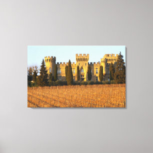The vineyard with syrah vines and the chateau canvas print