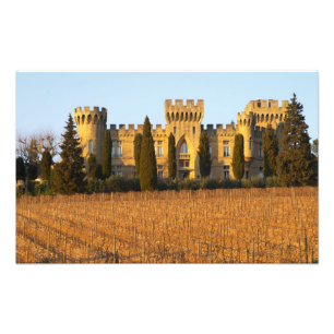 The vineyard with syrah vines and the chateau photo print