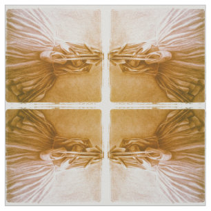 The vintage ballerina fabric