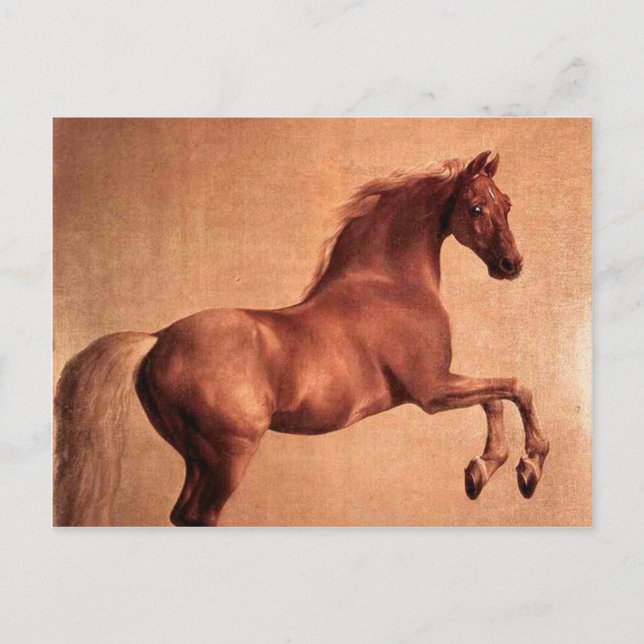 The Vintage Horse Postcard (Front)