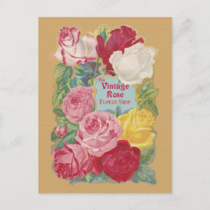 The Vintage Rose Flower Shop Sign Postcard