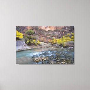 The Virgin River in autumn in Zion National Park Canvas Print
