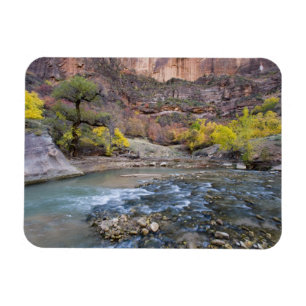 The Virgin River in autumn in Zion National Park Magnet