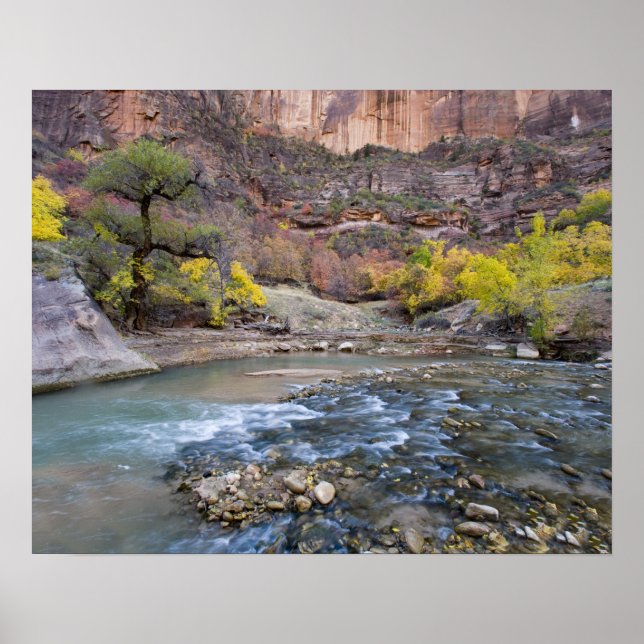 The Virgin River in autumn in Zion National Park Poster (Front)
