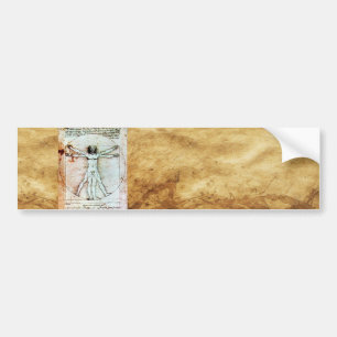 THE VITRUVIAN MAN Antique Parchment Bumper Sticker