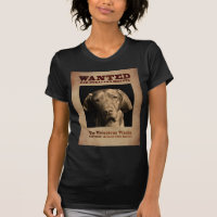 The Vivacious Vizsla