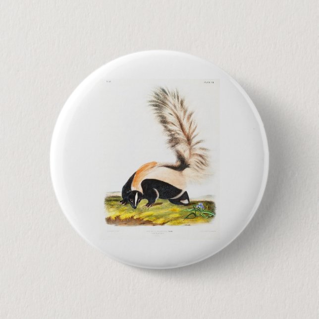 the viviparous quadrupeds by John James Audubon 6 Cm Round Badge (Front)