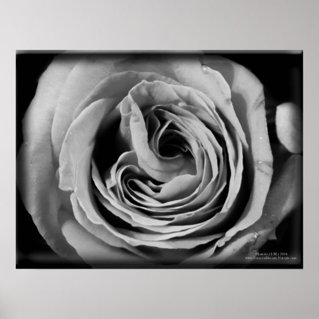 The Void Poster (Front)