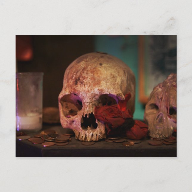 The Voodoo Ritual Postcard (Front)