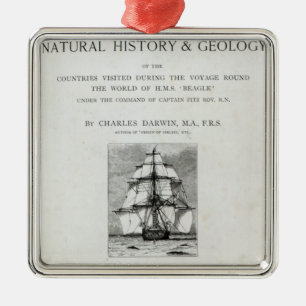 The Voyage of the Beagle Metal Tree Decoration