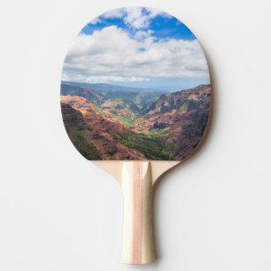 The Waimea Canyon Ping Pong Paddle