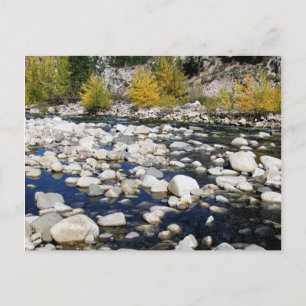 The Walker River in Autumn Postcard