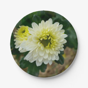 the warm white of autumn paper plate