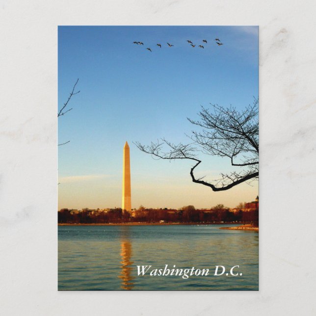 The Washington Monument Postcard (Front)